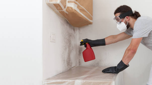 Professional Basement Mold Remediation technician working in Hopkinton, MA