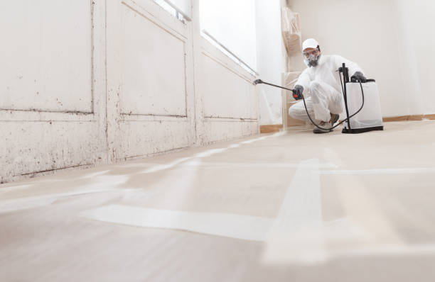 24/7 Emergency Basement Mold Remediation experts in Hopkinton, MA